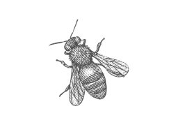 bee 3